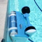 Robot Piscine - Dolphin Nauty TC - Avec brosse combinée et télécommande – Image 4
